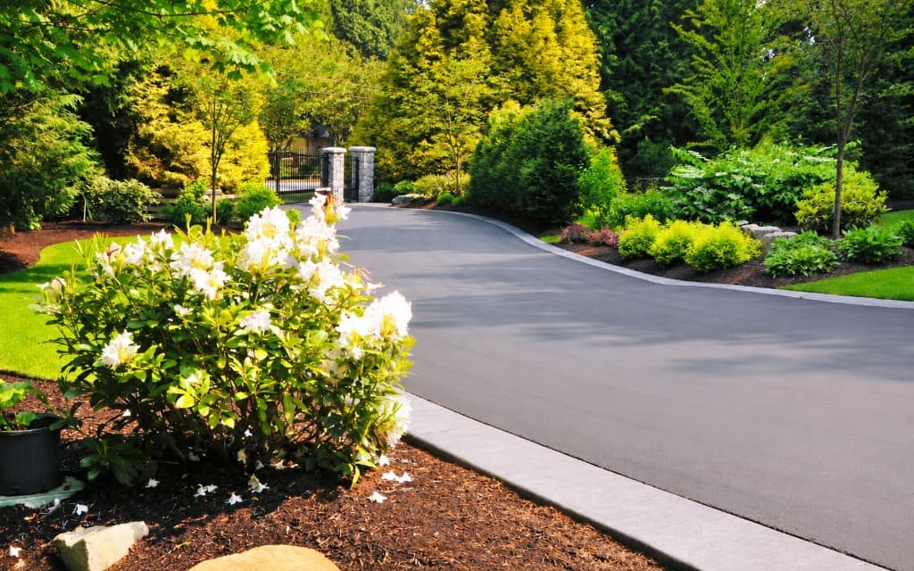 Curved driveway bordered by landscaped gardens.