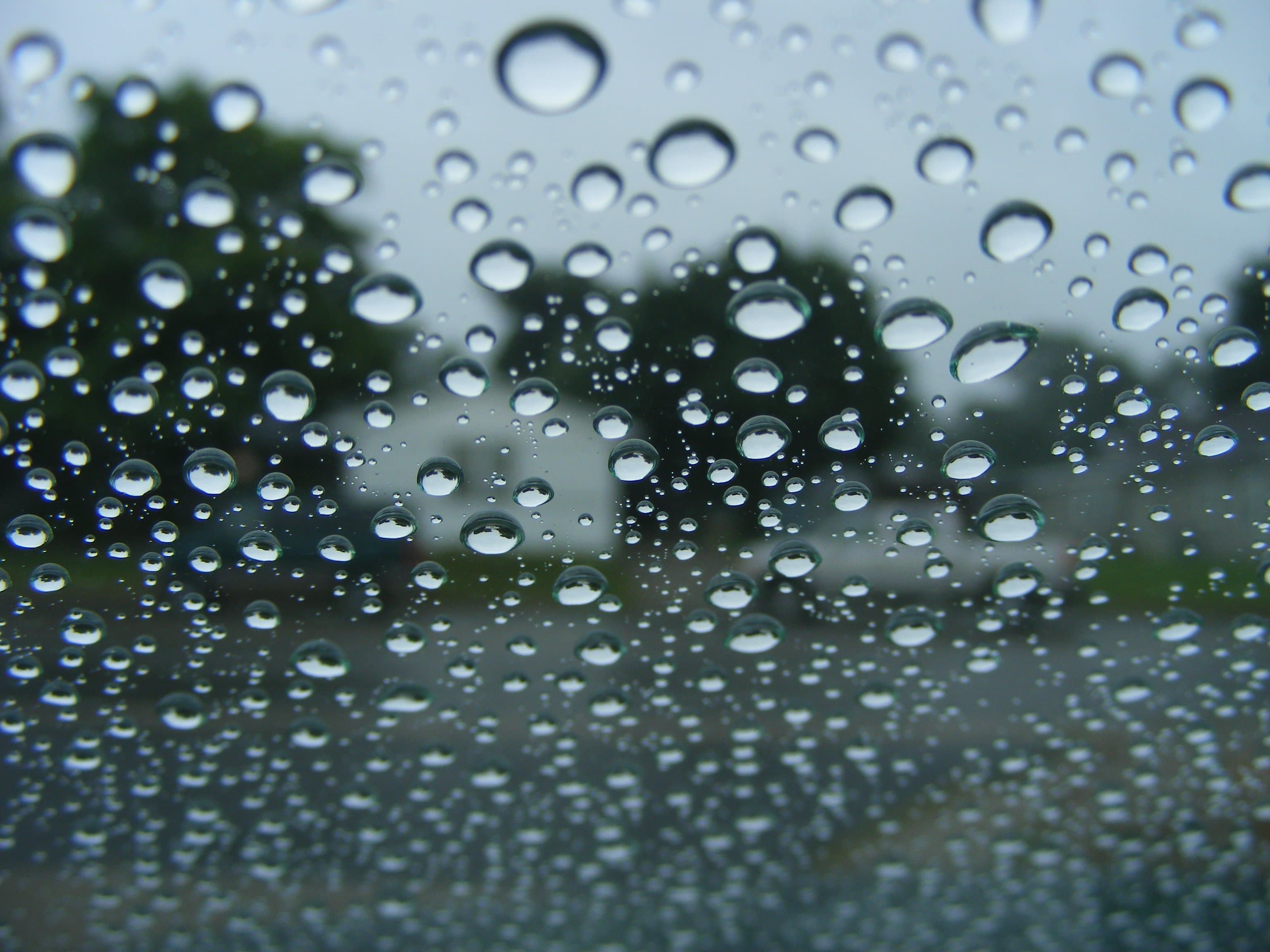 Close-up of water droplets beading on a glass surface